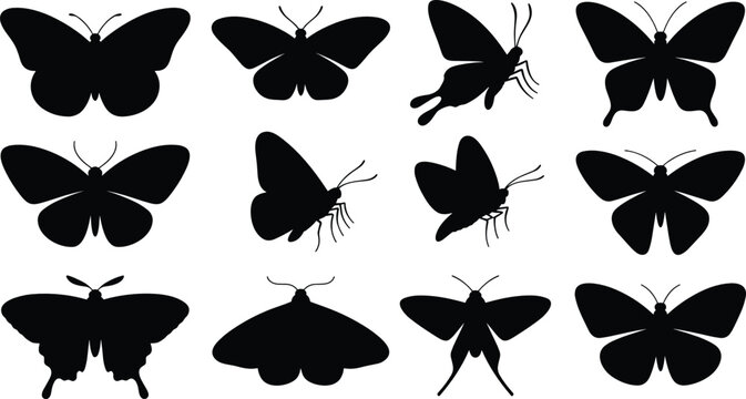 Butterfly silhouettes flat vector illustration set. Twelve dark moth and insect wings showing flying and perched views form an organic spring nature collection.