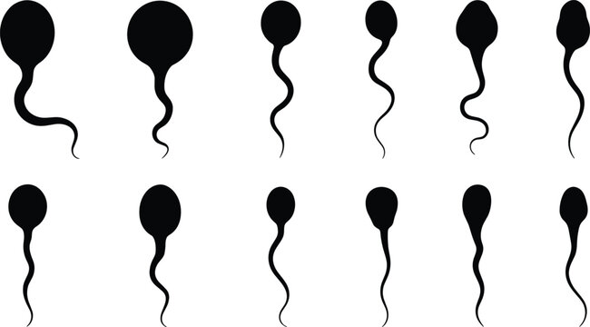 Sperm cells flat vector illustration set. Diverse black reproductive spermatozoon shapes with wavy tails display human fertility and health concept icons.