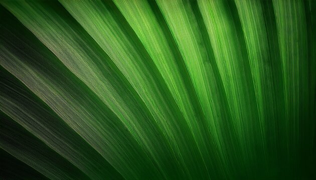 Fondo Con Detalle Y Degradado De Luz Sobre Color Verde Oscuro