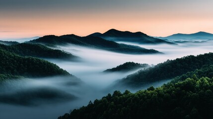 Fototapeta premium Majestic forest mountains blanketed by a serene sea of clouds during a tranquil golden hour.