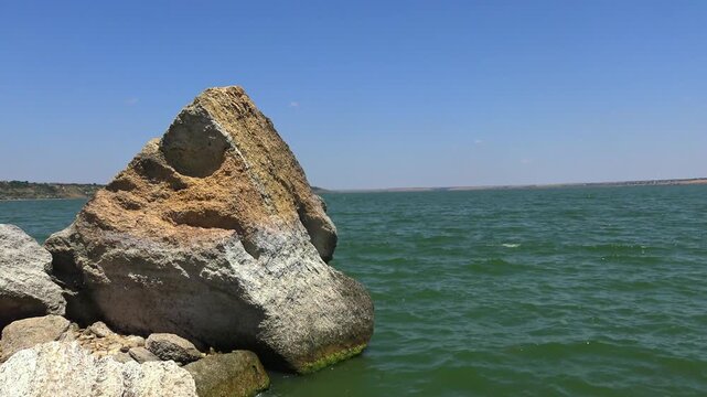 Rocky shoreline covered with dense Ulva intestinalis (Enteromorpha intestinalis) algae in Khadzhibey Estuary