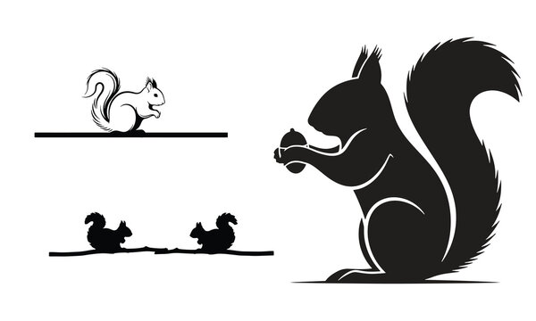 Group of squirrel silhouettes in various poses with an acorn graphic, squirrel