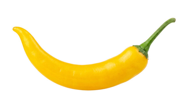 curved yellow chili pepper isolated PNG on transparent background, glossy hot pepper with green stem