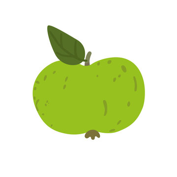 Fresh green apple with leaf isolated on white background. Simple healthy fruit for harvest, farming, food and organic design projects. Flat vector illustration.