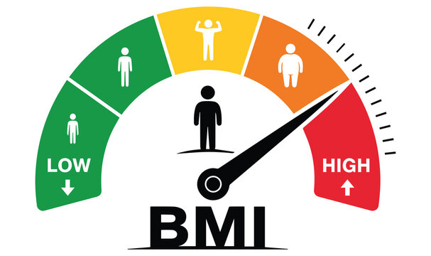 BMI body mass index gauge with colorful scale, weight measurement meter for health assessment, obesity and fitness level indicator vector