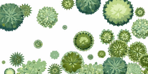 Vector Trees Foliage Top Down View With White Background © Laki