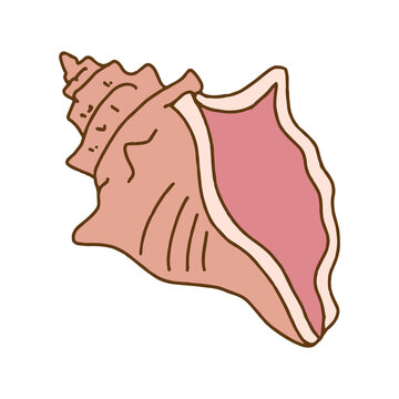 Hand drawn pink triton sea shell isolated graphic element