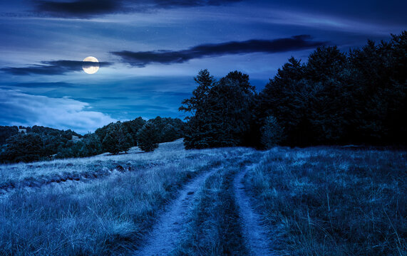dirt road through grassy hills at night. full moon over mountain landscape with beech forest along the path. mysterious countryside. late summer scenery with primeval woods on hillside
