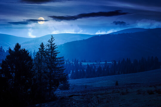 countryside mountain landscape in autumn. weathered grassy field on a hill near forest. rural night background. alpine highland of ukraine in full moon light