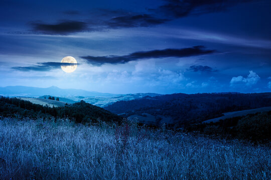countryside mountain landscape in summer at night. full moon over lush grassy pasture on a hill near forest. rural outdoor adventure background. mysterious highland of ukraine