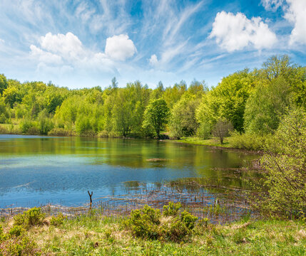 landscape by the lake at noon. deciduous forest near the glacial lake velyke trostya. view of primeval forest of carpathian mountains of ukraine in spring. cloudy sky. hiking and tourism background