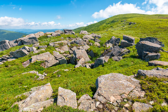 carpathian mountain landscape in summer. amazing background for outdoor adventure. transcarpathia green hill with rocks. sunny day with blue sky