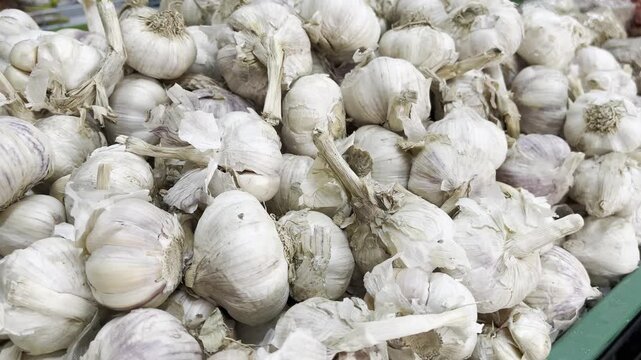 A heap of fresh organic raw garlic bulbs displayed on a traditional grocery market shelf