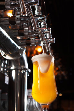 Beer is poured into tall glasses. Beer taps in pub are made of shiny steel. Concept of vacation or party. Vintage style. Frothy alcoholic drink. Bar equipment