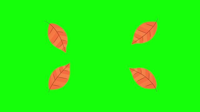 Red, Green, White Screen on Green Screen Background Horizontal 16-9
