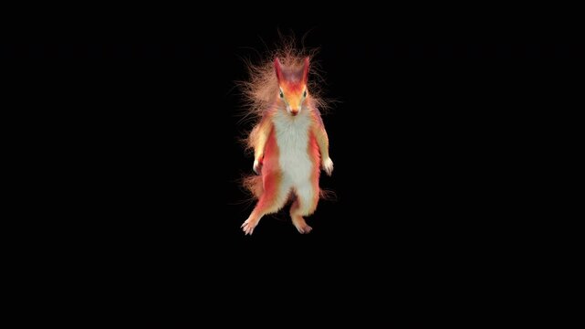 Realistic dancing squirrel performing rumba dance animation with alpha channel transparent background