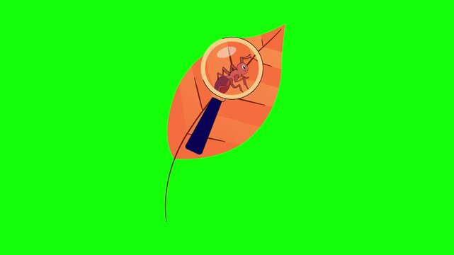 Green Leaf and Screen on Green Screen Background Horizontal 16-9