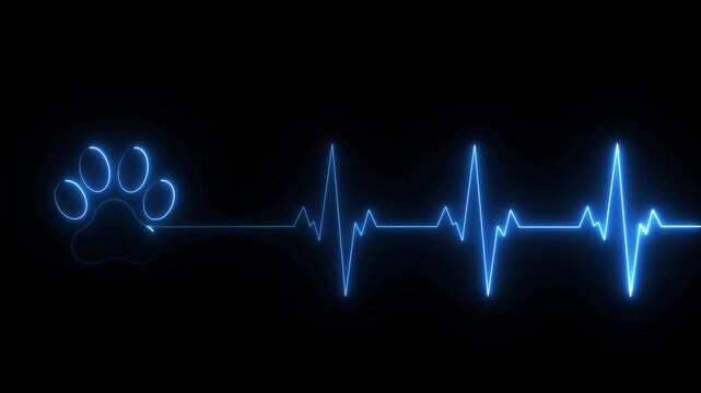 glowing neon Dog Paw Print Heartbeat Line icon Veterinary Healthcare ECG. Heartbeat icon with Paw Print Symbolizing black background. animation 4k video