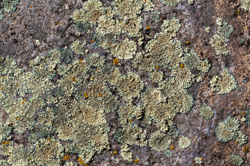 Lichen on boulder as abstract artistic layer © Christian