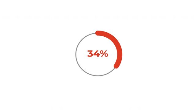 Circular Pie Chart 50 Percent Animation in 4K