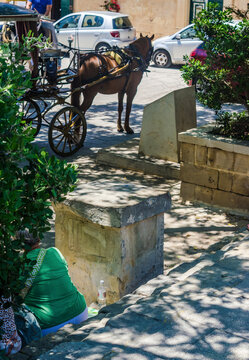 Traditional horse drawn carriage karrozzin waiting on sunny street with tourist resting on steps in Mdina, Malta