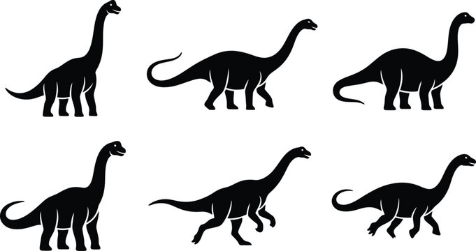 Set of Long Neck Dinosaur Silhouettes in Various Poses Isolated on White Background Vector Illustration Collection