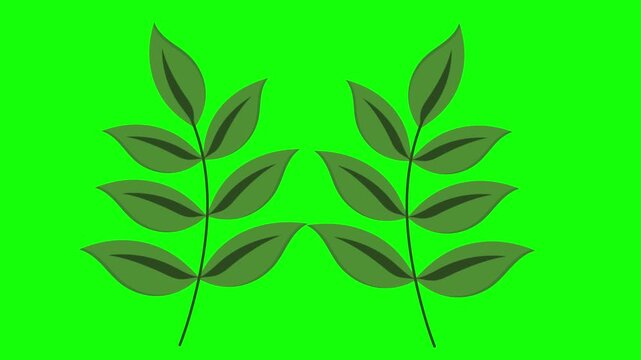 Green and White Screen on Green Screen Background Horizontal 16-9