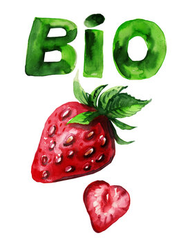 Watercolor illustration of fresh strawberries isolated on white background. Hand-drawn red berries, leaves and slices template with copy space.