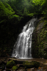 Obraz premium Scenic waterfall cascading down a steep rocky cliff surrounded by green forest trees