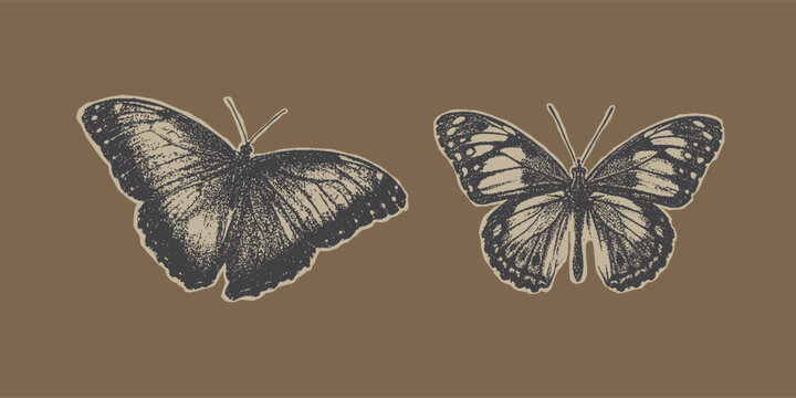Butterfly for grunge punk Y2K collage design with halftone stipple effect. Vector illustration in stipple halftone brutalist retro design