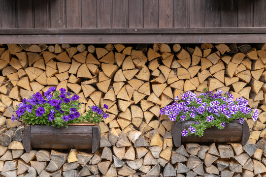 Stacked firewood wall decorating with petunia flowers, Spania Dolina