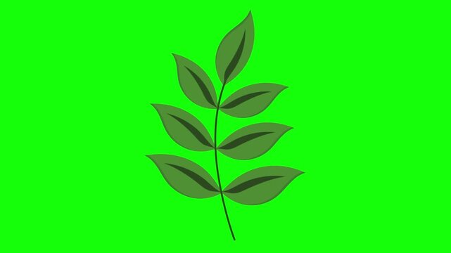 Green and White Bird and Leaf and Screen on Green Screen Background Horizontal 16-9