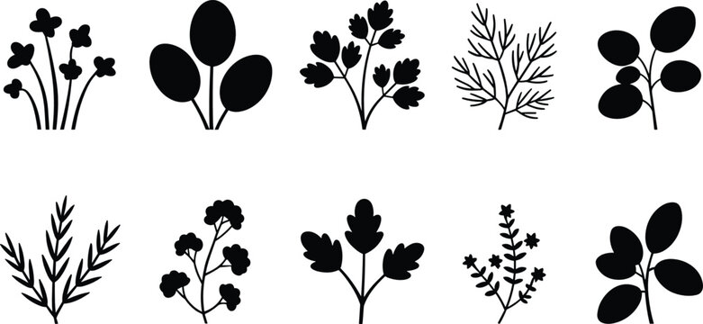 Kitchen herbs flat vector illustration icon collection. Labeled silhouettes feature spinach, parsley, dill, peppermint, rosemary, coriander, arugula, thyme, and laurel.