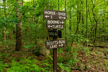 Wooden trail sign marking hiking routes through the forest at French Creek State Park, Pennsylvania. © Nicola