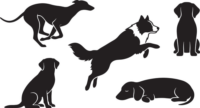 Adobe IlluElegant black dog silhouettes featuring border collie and greyhound poses.strator Artwork