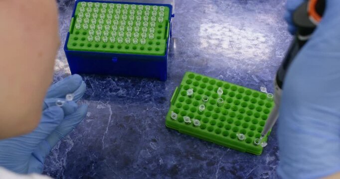 A scientist works in a laboratory on a blue table, mixing substances in a small eppendorf on a green stand, the camera filming from over his shoulder.