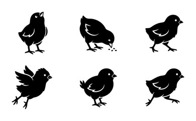 Six Black Chick Silhouette Icons, Cute Baby Bird Vector Graphics, Spring Farm Animal Set © Hamida
