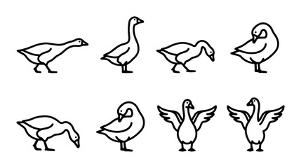 Goose Icon Set: Diverse Poses, Simple Line Art Vector Collection for Nature and Farm Themes © Farjan