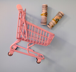 Miniature pink toy shopping cart with rolled 100 US dollar banknotes on blue background. USA savings and family budget concept. © Stanislava