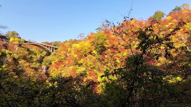 秋の鳴子峡【宮城県大崎市鳴子温泉】