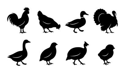 Farm Poultry Silhouettes: Rooster, Hen, Duck, Turkey, Goose, Quail, Guinea Fowl, Chick Vector Icons © Dulal