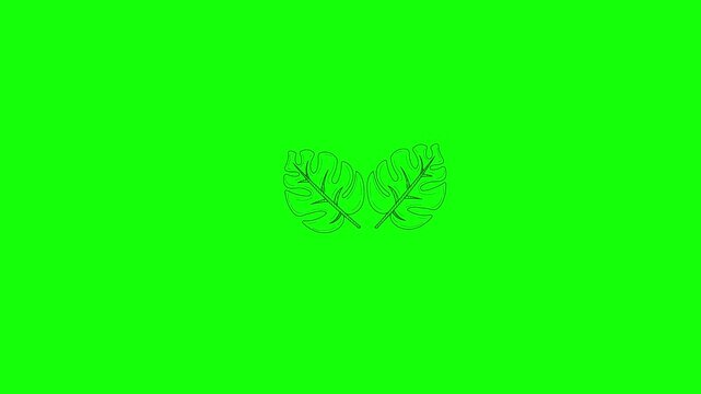Green, White, Black Logo on Green Screen Background Horizontal 16-9