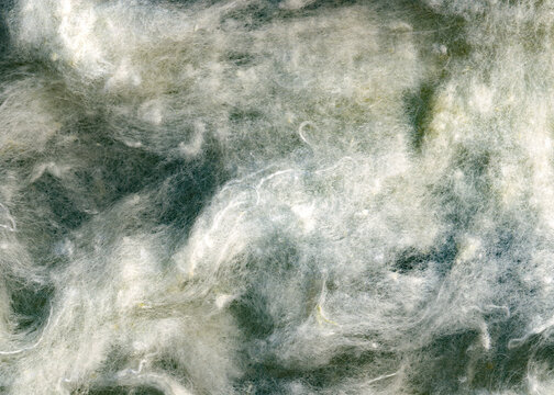 Close up of old natural white cotton texture. 