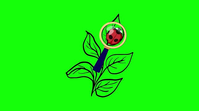 Bird and Flower and Tree and Leaf on Green Screen Background Horizontal 16-9