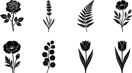 A collection of eight elegant black silhouette illustrations featuring various botanical elements including roses lavender fern and tulips © Forhad