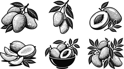 A collection of stylized black and white mango illustrations featuring whole fruits, sliced pieces and leafy branches © Forhad