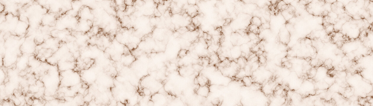 White Fur mable Texture Closeup Soft Natural Hair Surface Background Detailed Macro Pattern Textured Material Abstract Nature Backdrop