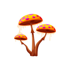 Obraz premium Mushroom fly agaric isolated inedible fungi hallucinogen, fly amanita. Vector Halloween symbol, potion ingredient poison food. Poison fungus with cap in dots. Amanita muscaria muscimol mushroom
