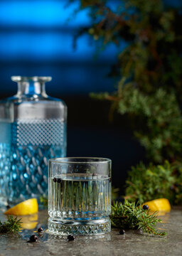 Gin and tonic cocktail with juniper branches and lemon slices.