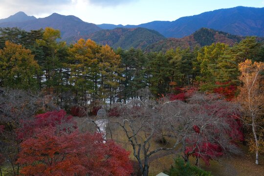 Colorful foliage in the fall in Lake Kawaguchi (Fujikawaguchiko), Japan